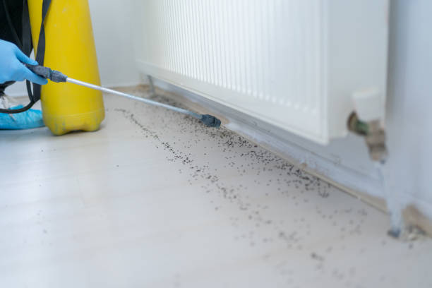 Best Exterminator Services  in Castleton On Hudson, NY