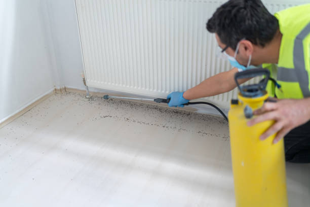 Best Pest Inspection Near Me  in Castleton On Hudson, NY